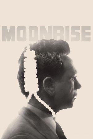 Moonrise's poster