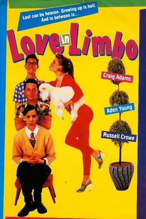 Love in Limbo's poster