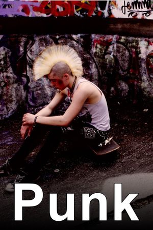 Punk's poster