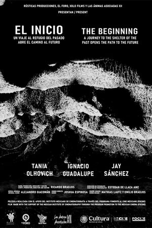 The Beginning's poster