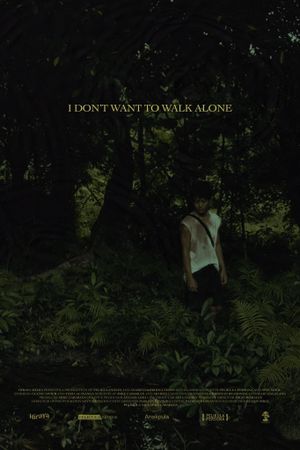 I Don't Want to Walk Alone's poster