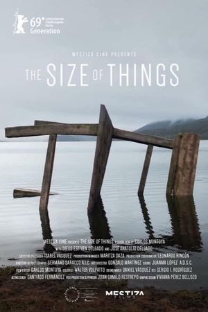 The Size of Things's poster