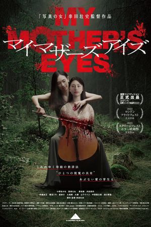 My Mother's Eyes's poster
