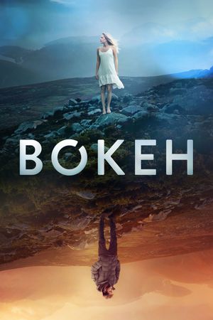 Bokeh's poster