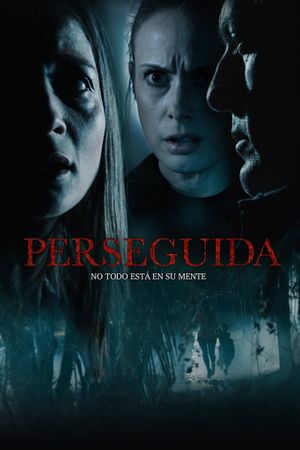 Persecuted's poster