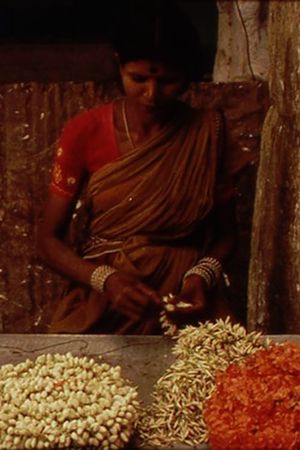 A Depression in the Bay of Bengal's poster