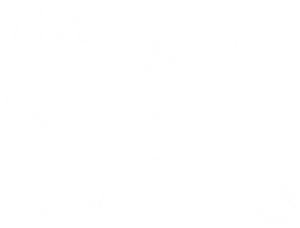 The Salt in Our Waters's poster