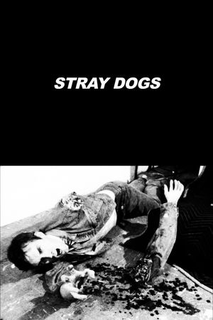 Stray Dogs's poster