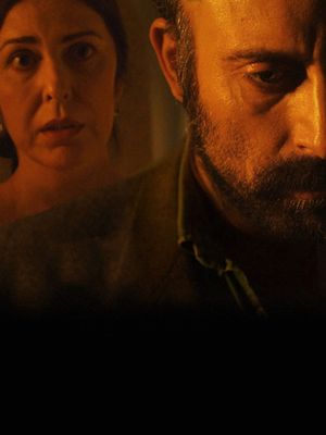 The Guest's poster