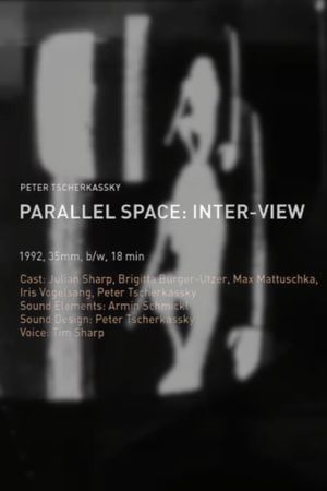 Parallel Space: Inter-View's poster