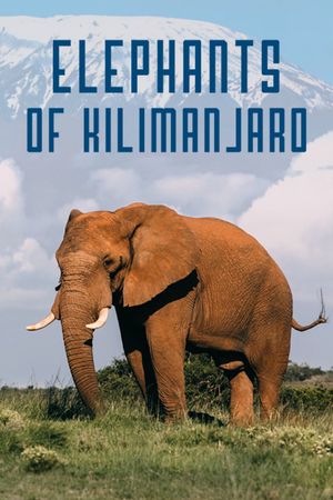 Elephants of Kilimanjaro's poster