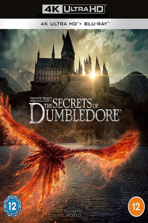 Fantastic Beasts: The Secrets of Dumbledore's poster