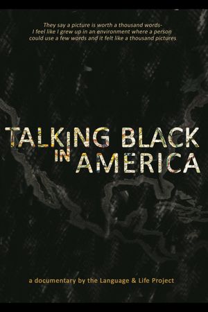 Talking Black in America's poster