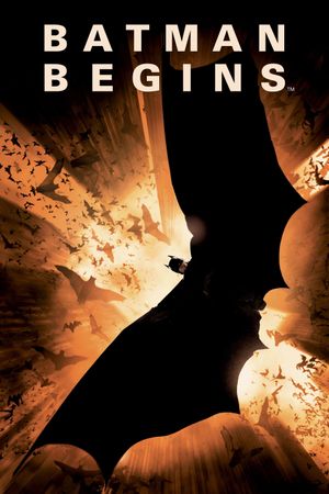 Batman Begins's poster