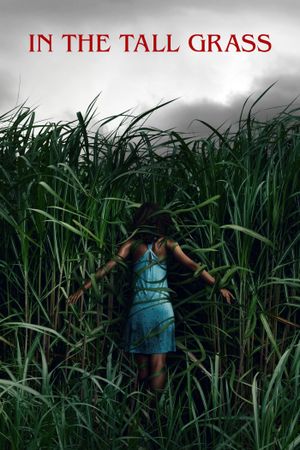In the Tall Grass's poster