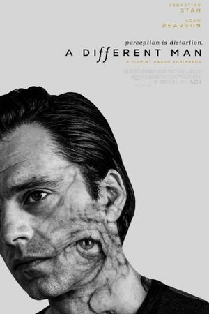 A Different Man's poster