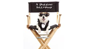 A Doggone Hollywood's poster