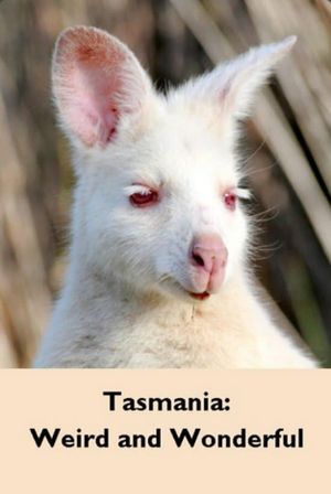 Tasmania: Weird and Wonderful's poster
