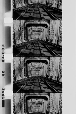 Railroad Turnbridge's poster