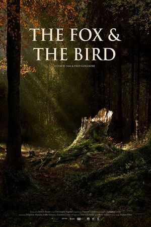 The Fox & the Bird's poster