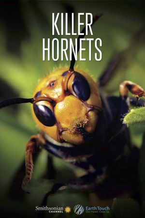 Killer Hornets's poster
