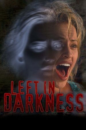 Left In Darkness's poster