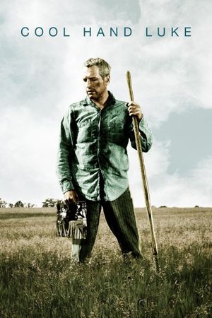 Cool Hand Luke's poster