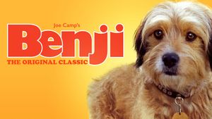 Benji's poster