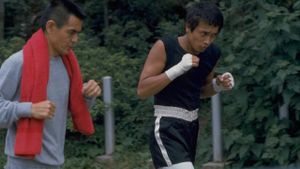 The Boxer's poster