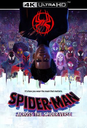 Spider-Man: Across the Spider-Verse's poster