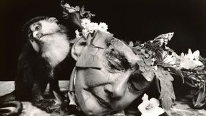 Witkin & Witkin's poster