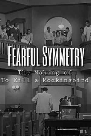 Fearful Symmetry's poster