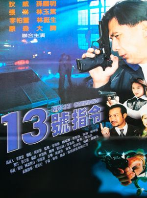 No. 13 Command's poster image