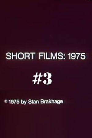 Short Films 1975: #3 (Hollis Frampton)'s poster