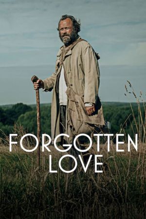 Forgotten Love's poster image