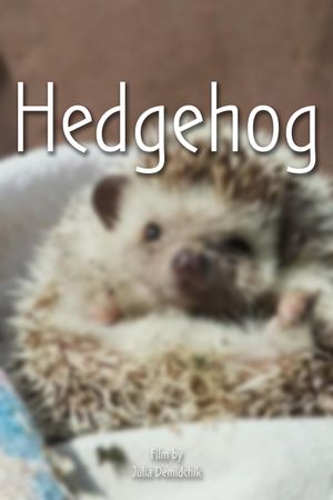 Hedgehog's poster