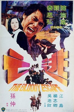 Tao wang's poster