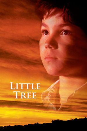 The Education of Little Tree's poster