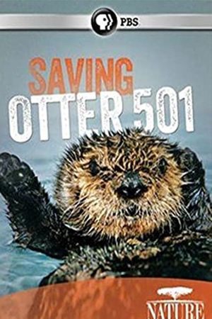 Saving Otter 501's poster