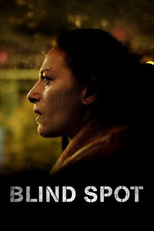 Blindsone's poster