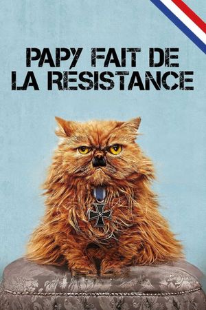 Papy fait de la résistance's poster