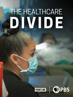 The Healthcare Divide's poster