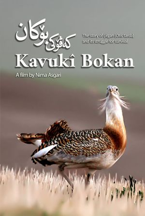 Kavuki Bokan's poster