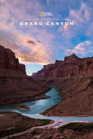 Into the Canyon's poster