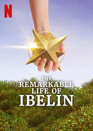 The Remarkable Life of Ibelin's poster