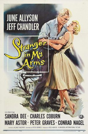 A Stranger in My Arms's poster