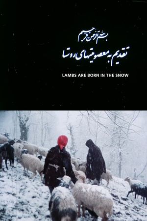 Lambs Are Born in the Snow's poster