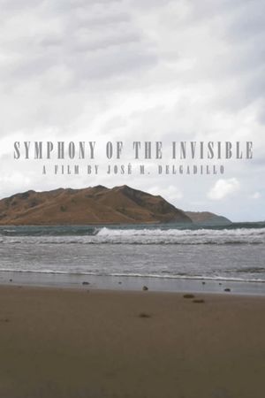 Symphony Of The Invisible's poster