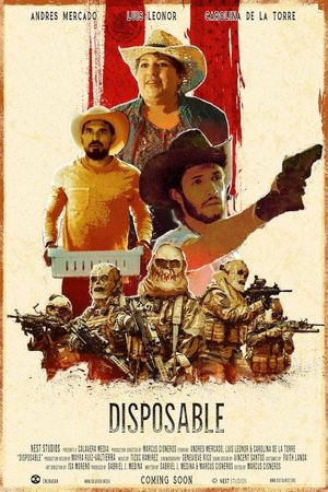 Disposable's poster image