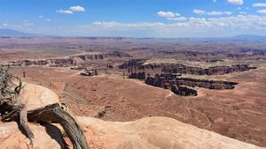 The Canyonlands's poster